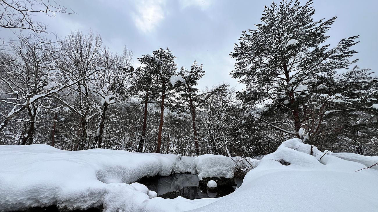 Shirakawago 