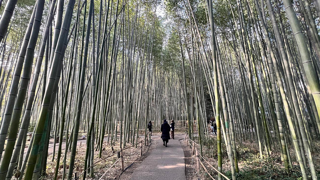 Fotogallery Kyoto