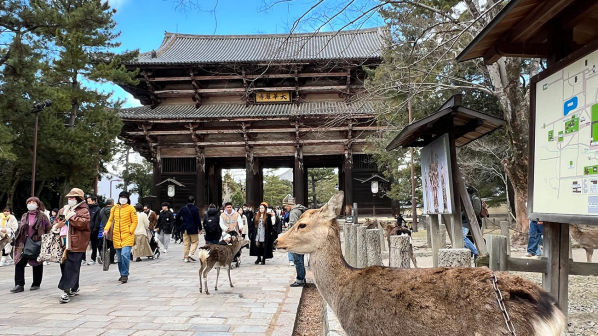 Kyoto